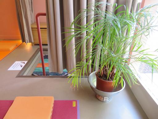 L'entrée avec un vrai "genkan" japonais, pour se déchausser. L'entrée de la salle de Yoga pour se déchausser.